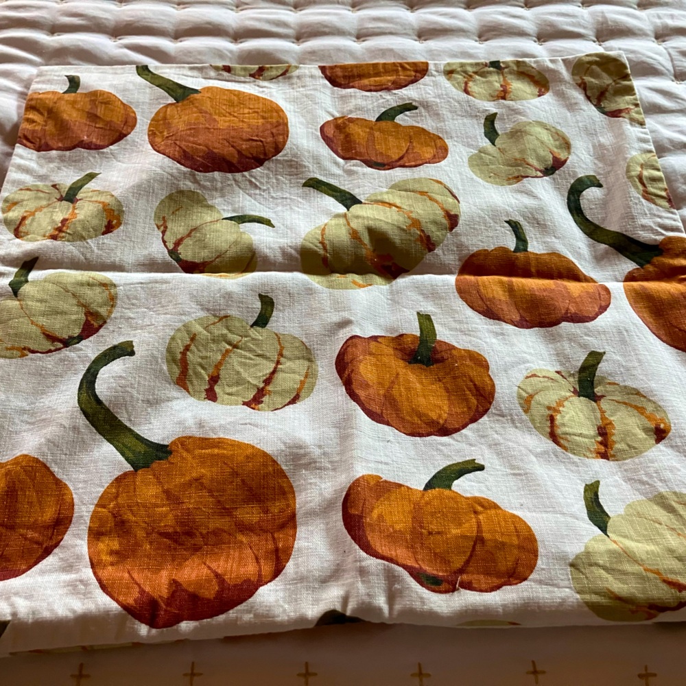 Pottery Barn #1 pumpkin pillow 18x18
